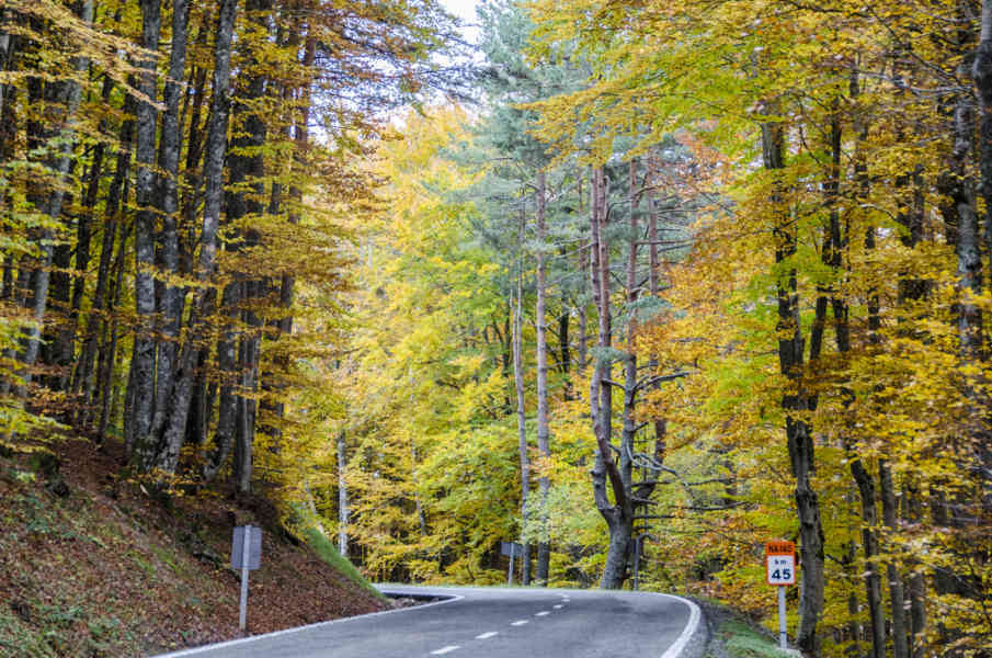 Comunidad Foral de Navarra 020 - valle de Salazar.jpg